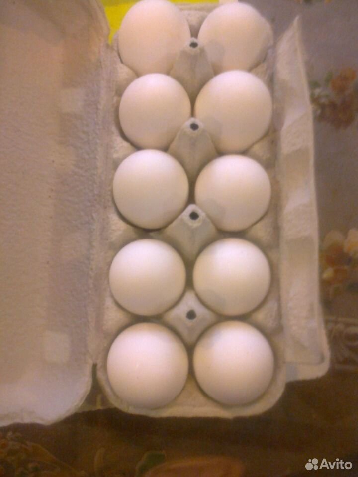 Пищевое куриное яйцо купить на Зозу.ру - фотография № 1