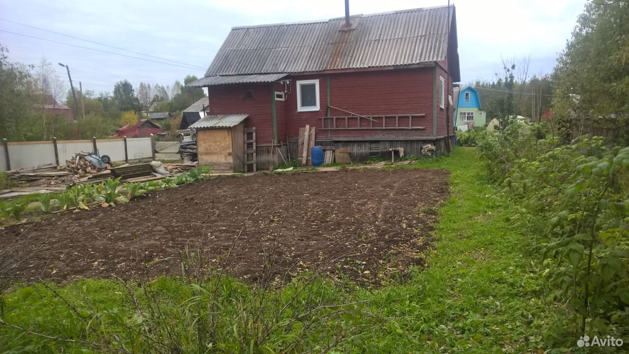 Недвижимость новодвинск. СНТ Автомобилист Новодвинск. Зори севера Новодвинск. Авито Новодвинск.