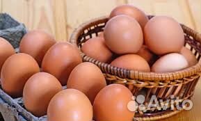 Всегда свежие домашние куринные яйцауту купить на Зозу.ру - фотография № 1