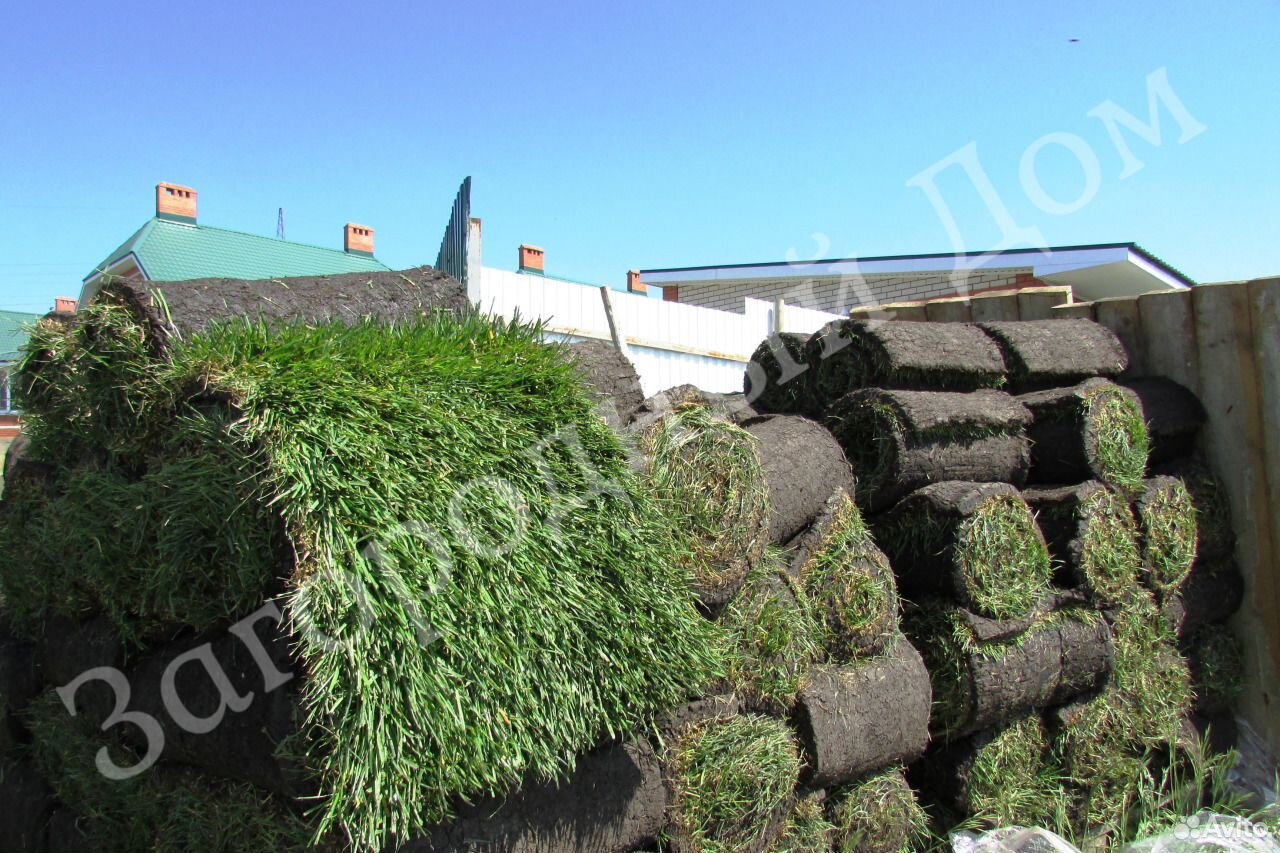 Рулонный газон в Самаре от производителя купить на Зозу.ру - фотография № 10