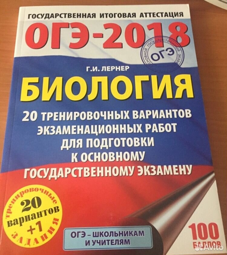 В новом дворе все ребята хорошо огэ