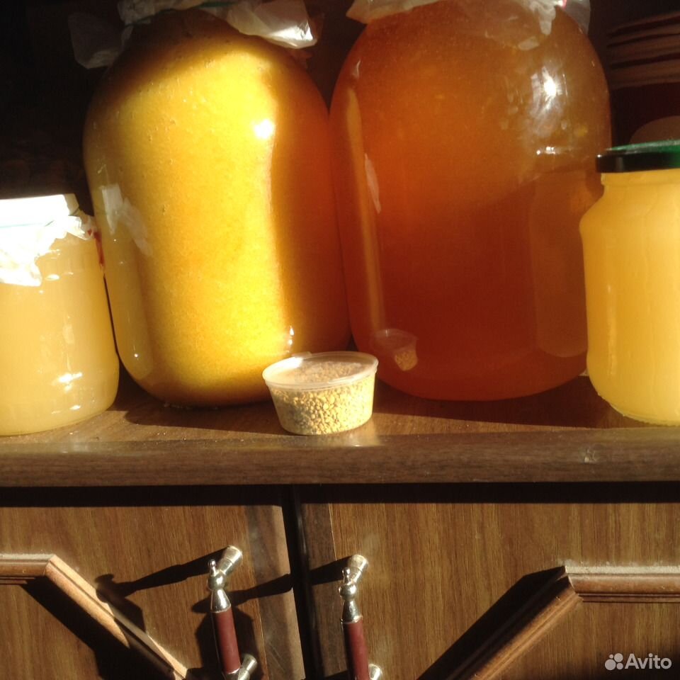 Меняю мёд на цветы для сада или саженцы плодовых купить на Зозу.ру - фотография № 5