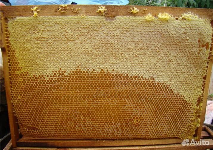 Пчелиные рамки купить на Зозу.ру - фотография № 3