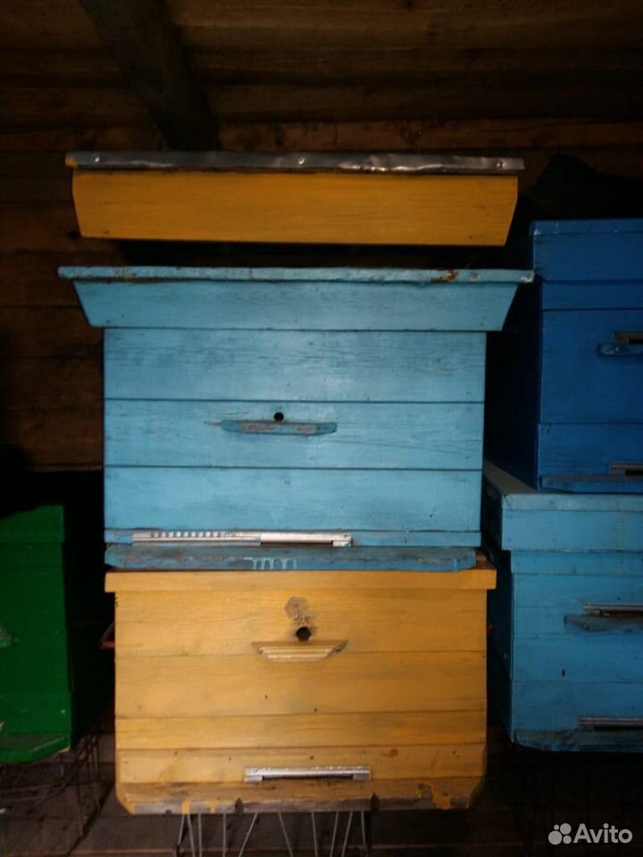 Ульи пчелинные купить на Зозу.ру - фотография № 1