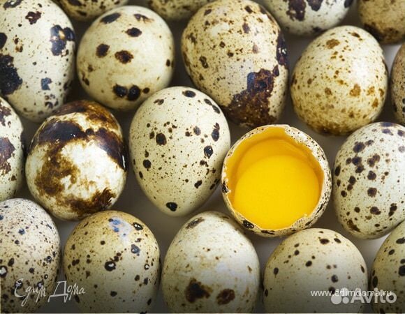 Перепелинное яйцо купить на Зозу.ру - фотография № 2