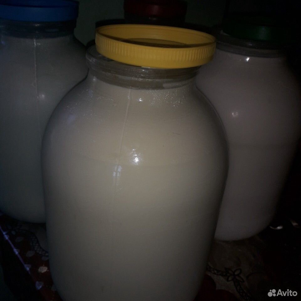 Молоко и сметана купить на Зозу.ру - фотография № 1