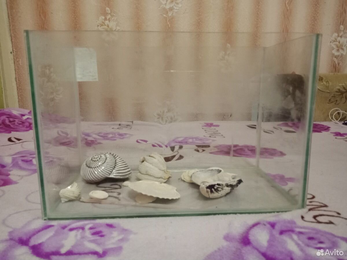 Продам аквариум со всем тем что есть на фото купить на Зозу.ру - фотография № 1