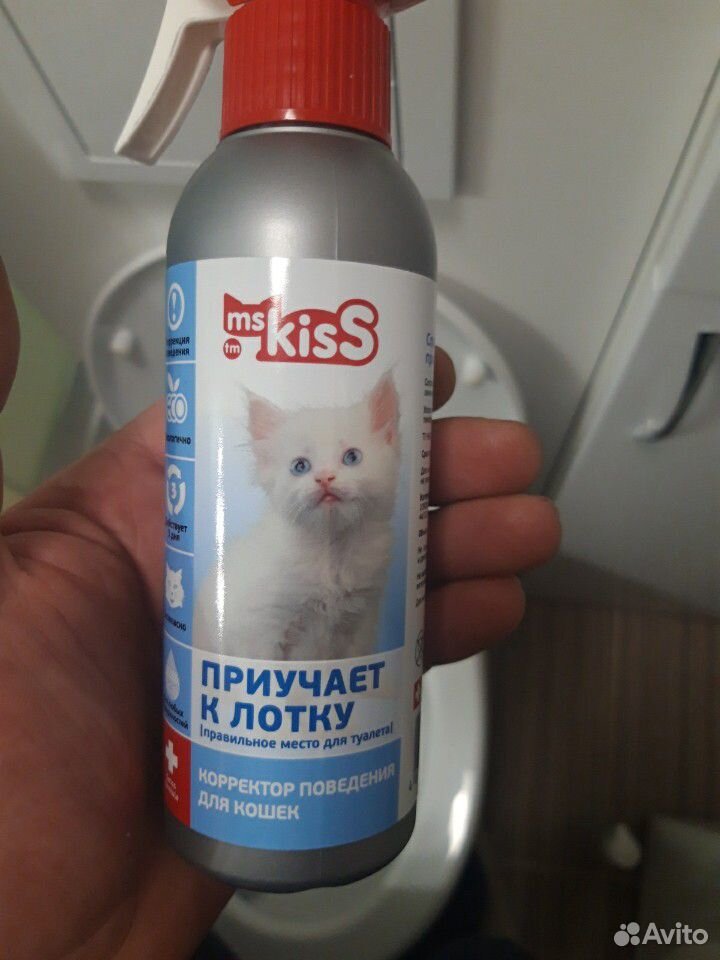 Для котят купить на Зозу.ру - фотография № 2