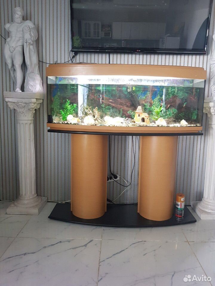 Продам аквариум 200л, с рыбками и оборудованием купить на Зозу.ру - фотография № 1