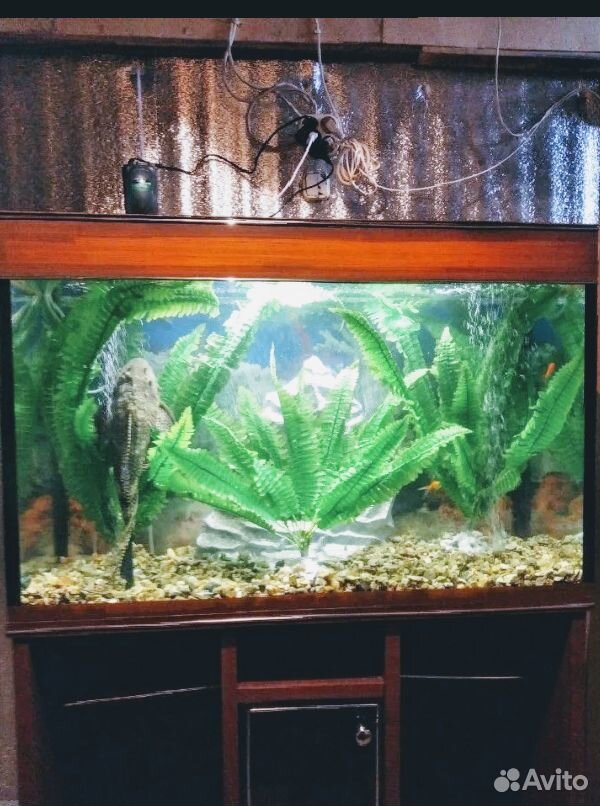 Большой аквариум с рыбками.Объем 260 л купить на Зозу.ру - фотография № 1