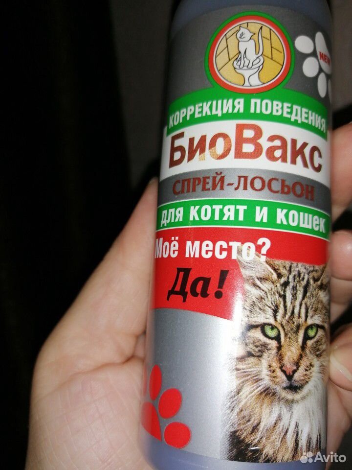 Спрей для кошек и котов(отучает гадить) купить на Зозу.ру - фотография № 2
