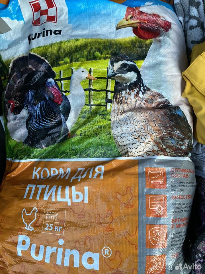 Комбикорм для цыплят купить на Зозу.ру - фотография № 1