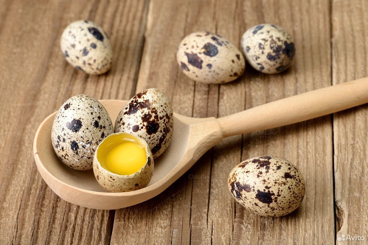 Яйца перепелиные домашние купить на Зозу.ру - фотография № 1