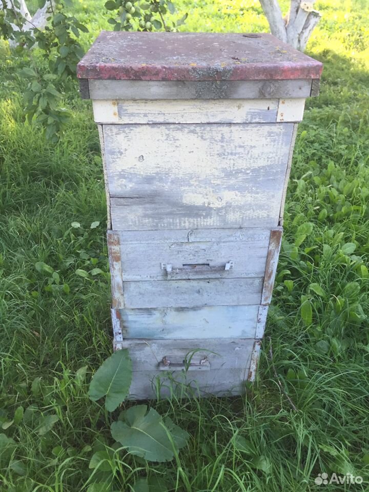Улей для пчёл купить на Зозу.ру - фотография № 3