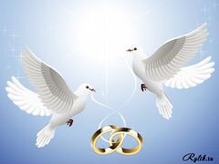 Свадебные белые голуби