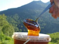 Алтайский горный мед из разнотравья