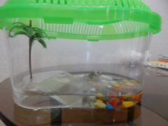 Продам домик-аквариум для черепахи (переносной)
