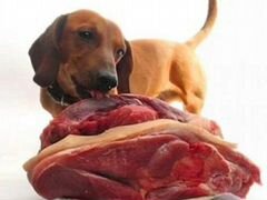 Мясо для собак