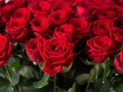 35 красных роз в букете Доставка