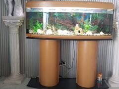 Продам аквариум 200л, с рыбками и оборудованием