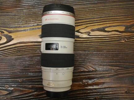Canon 70-200 L IS 2.8