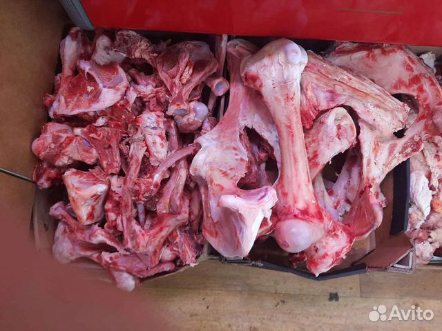 Кости для собак