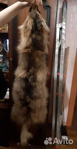 Шкурка животного