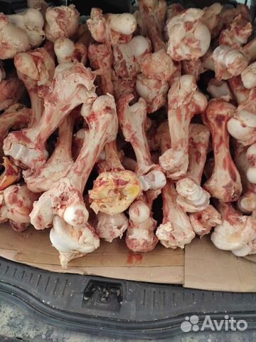 Мясо говядина для собак