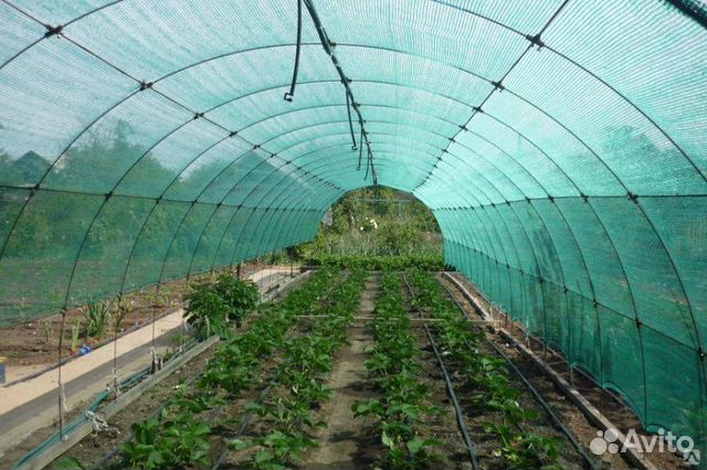 Сетка затеняющая 55 и 80