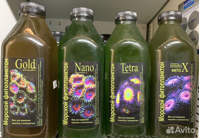 Фитопланктон и Зоопланктон для морского аквариума