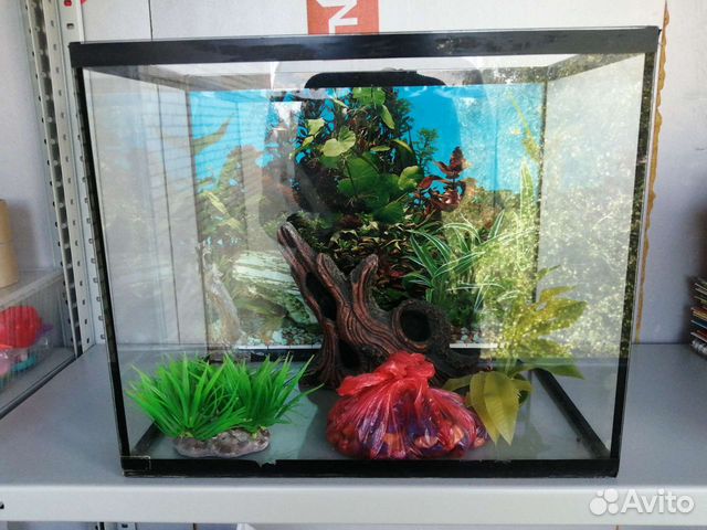 Аквариум - Террариум
