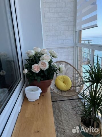 

Квартира-студия, 33 м², 2 кровати