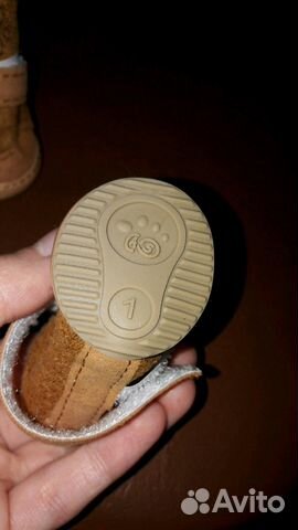 Ботинки, обувь для собаки