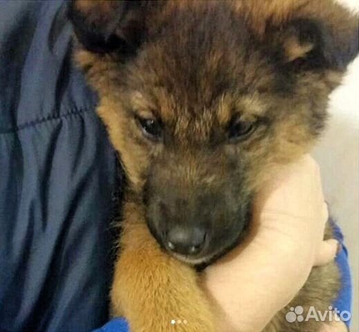 Паренек в дар Паренек в дар
