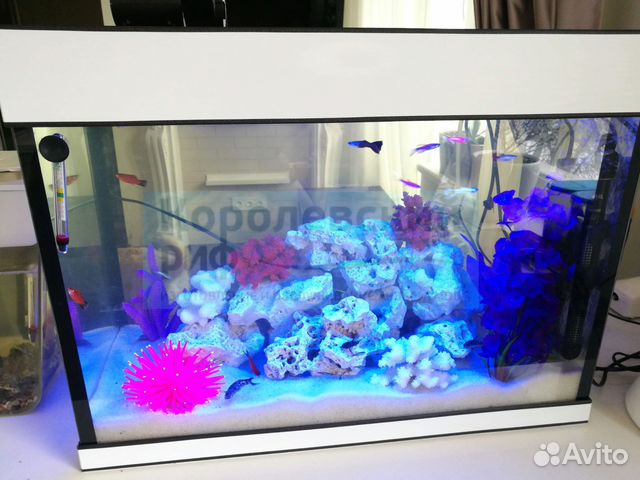 Аквариумы под ключ Аквариумы под ключ