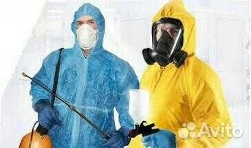 Уничтожение насекомых