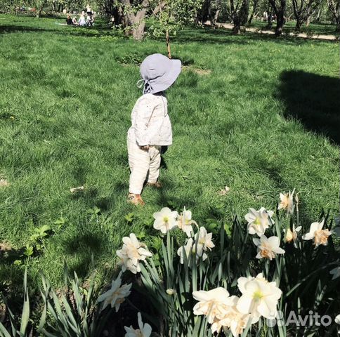 Noa noa miniature 68 брюки фламинго
