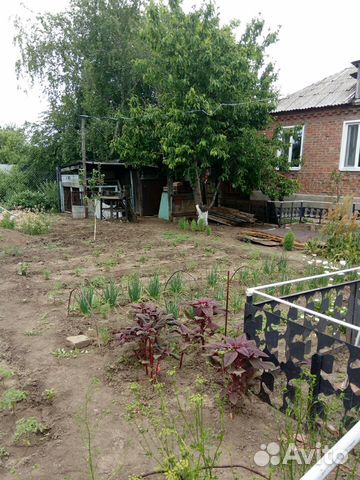 Дом 45 м² на участке 7 сот. Дом 45 м² на участке 7 сот.