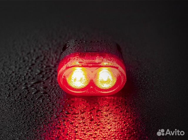 ������ ����� ������ ����������� ���� ��������