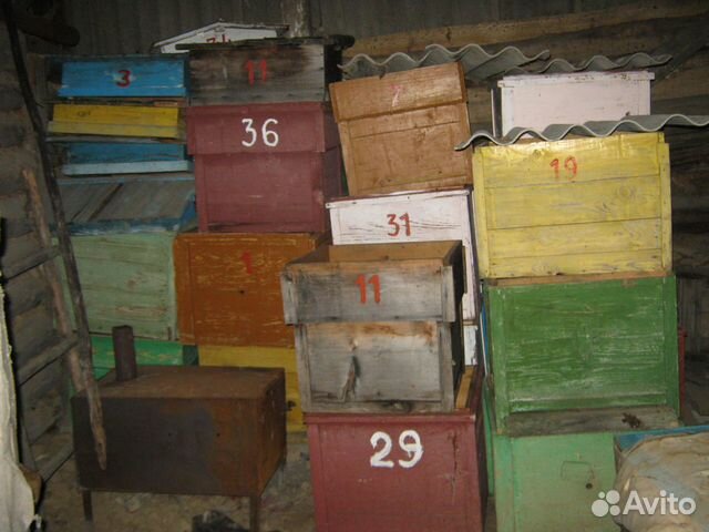 Ульи для пчёл купить на Зозу.ру - фотография № 2