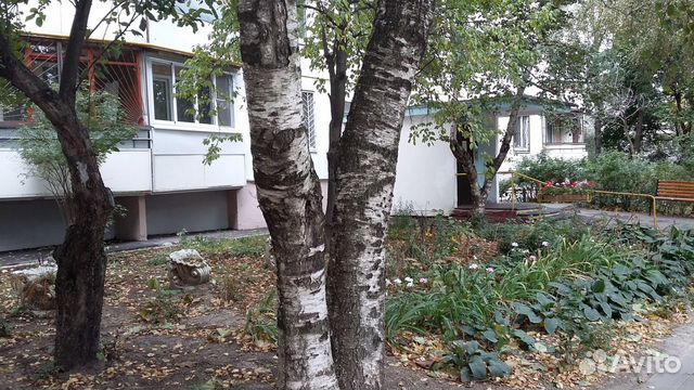 Студия, 18 м², 1/12 эт.