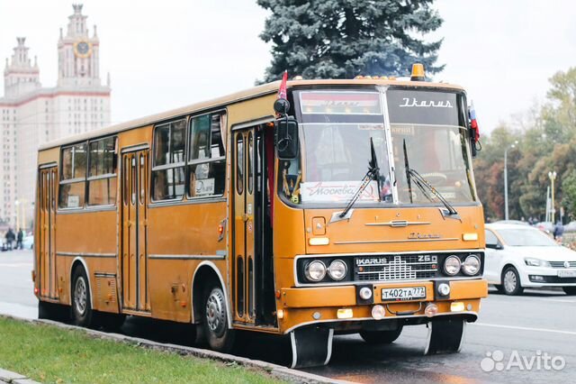 Заказ ретро автобуса. Икарус 260