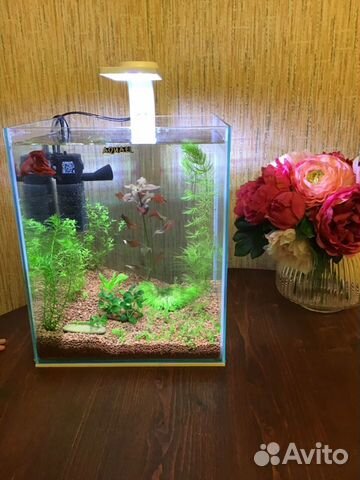 Аквариум aquael shrimp SET smart plant II 30