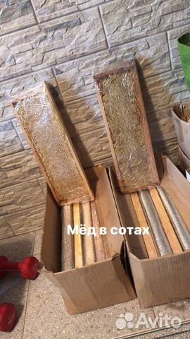 Деревенский мёд в сотах. Разнотравье. перга Деревенский мёд в сотах. Разнотравье. перга