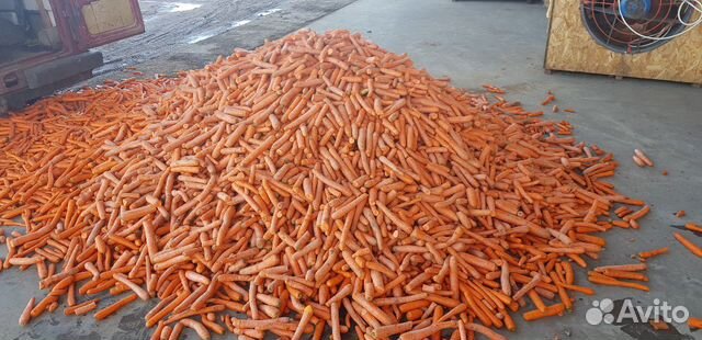 Морковка кормовая купить на Зозу.ру - фотография № 2
