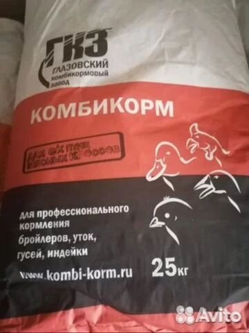 Цыплята кобб 500 купить на Зозу.ру - фотография № 4