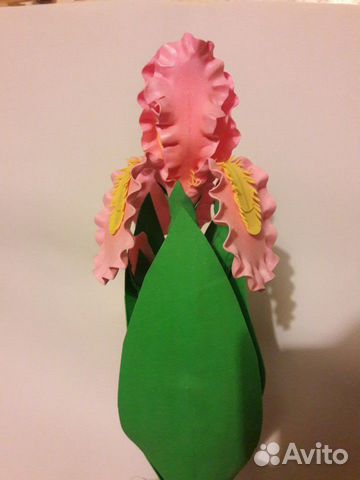 Ирис в горшке