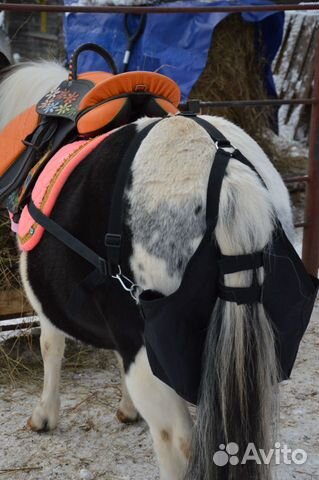 Текстильная амуниция для лошадей и пони купить на Зозу.ру - фотография № 9