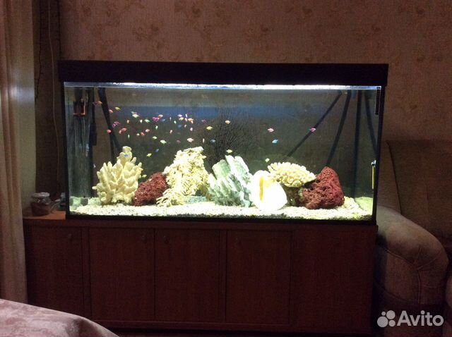 Продам аквариум 500л купить на Зозу.ру - фотография № 3
