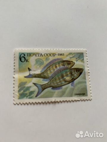 Марки ссср1983год,промысловые рыбы,чистые